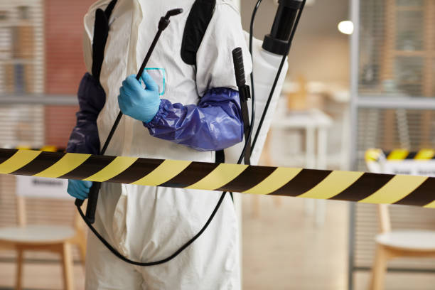 Professional Blood Cleanup technician working in Overton, TX